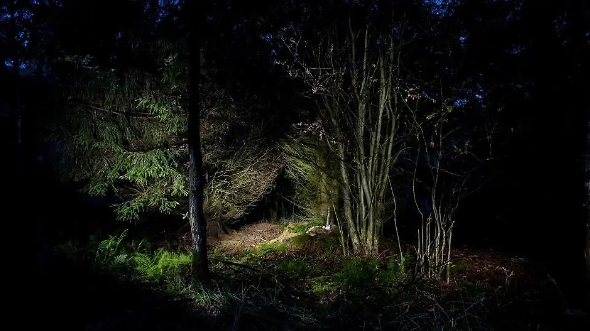VOE STERN 47/2021 VOE Stern Crime 3/2015 Mordfall Frauke Liebs. Der Ablageort der Leiche in einem Waldstueck an der Landestraße L817 in Paderborn am 11.09.2015. Frauke Liebs wurde zur Fussball WM 2006 unter mysterioesen Umstaenden ermordet, der Taeter ist bis heute nicht gefasst. Foto: Marcus Simaitis