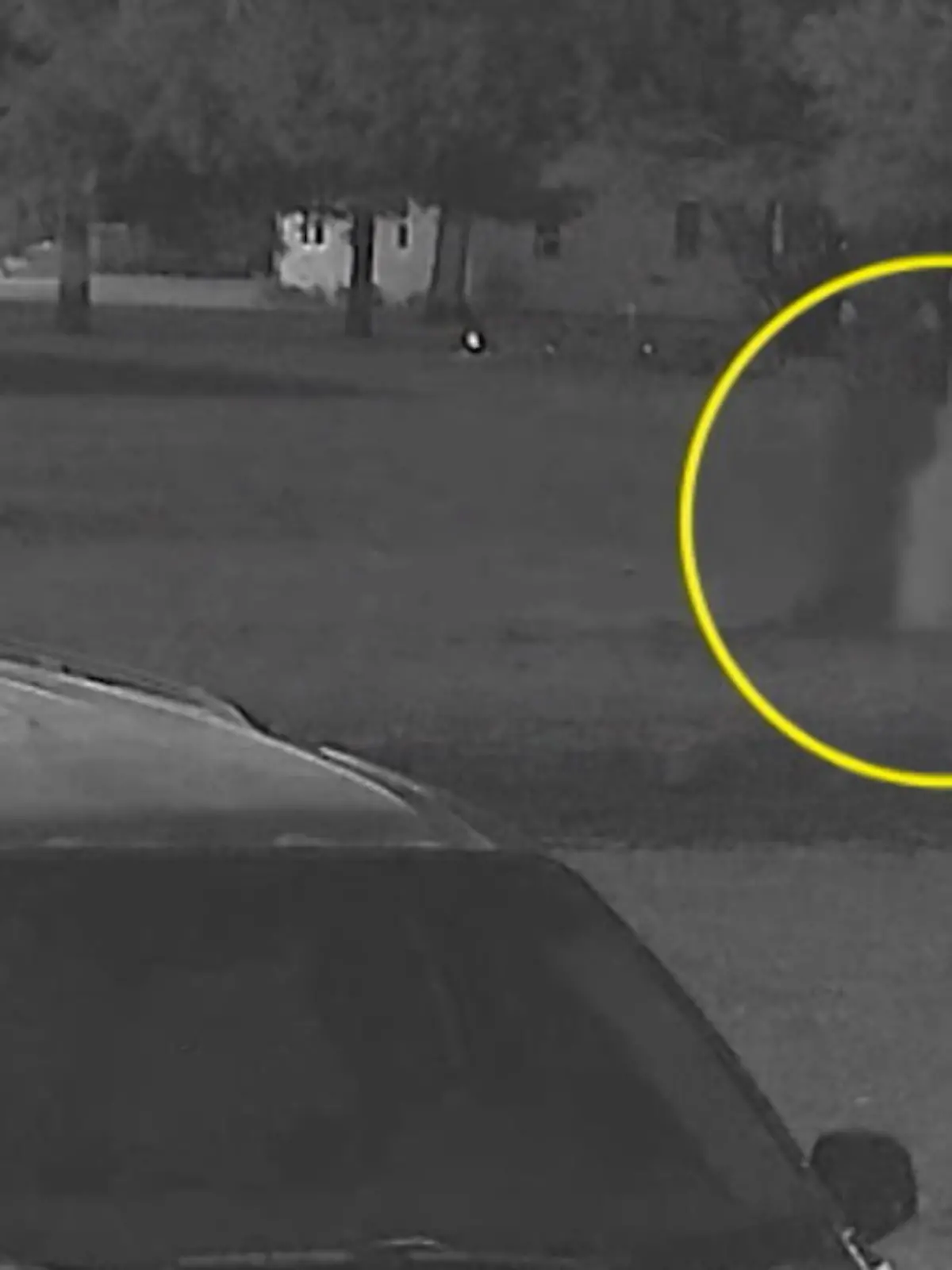Cory Fletcher (40) aus Minnesota, USA wird demnächst wohl umziehen müssen. Als er am 01. November nachts die Bewegungsmelder auf seiner Terrasse angehen sieht, ist er sich sicher, da ist irgendwas. Oder eher irgendwer! Selbst erkennen tut er nichts, aber auch sein Hund hört nicht auf, etwas da draußen anzubellen. Was für entsetzliche Aufnahmen Cory dann auf der Überwachungskamera sieht, zeigen wir Ihnen im Video.
