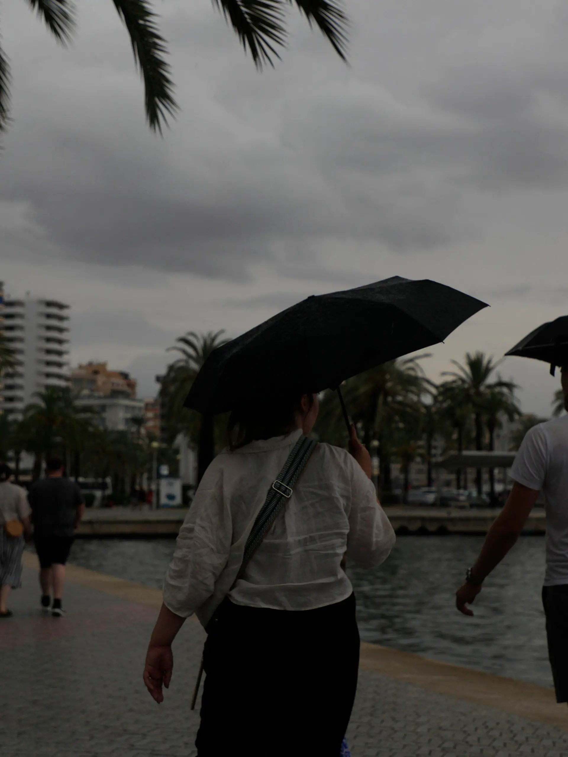 02.09.2023, Spanien, Palma: Mit Schirmen sind Spaziergänger an der Strandpromenade unterwegs. Auf Mallorca wurde wegen möglicher Unwetter die gelbe Alarmstufe ausgerufen. Foto: Clara Margais/dpa +++ dpa-Bildfunk +++