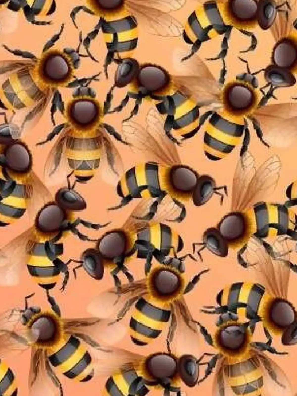 Suchbild Sonnenblume inmitten von Bienen.