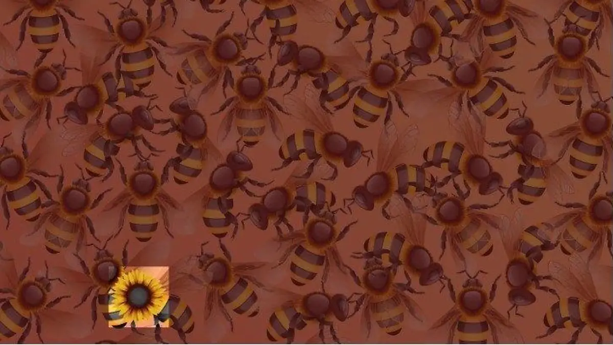 Suchbild Sonnenblume inmitten der Bienen