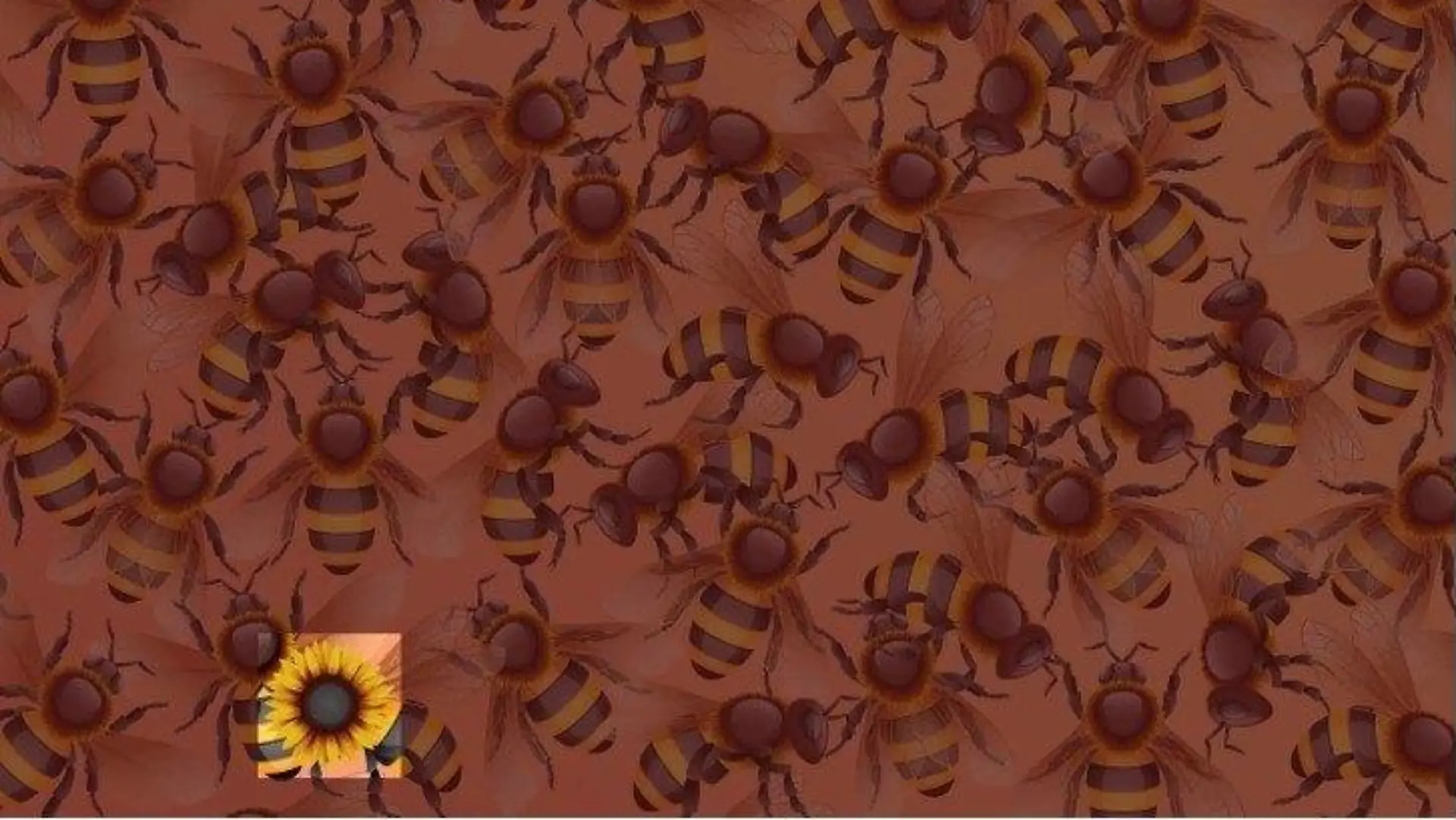 Suchbild Sonnenblume inmitten der Bienen