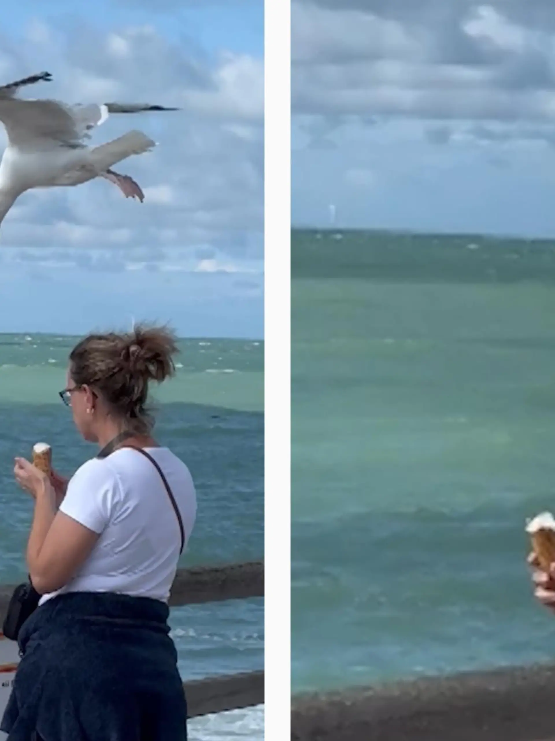 Sie wollte doch nur mal probieren! Eine Möwe scheint sich ihre Artgenossin, die diebische Elster zum Vorbild zu nehmen. An einem schönen Sommertag stibitzt sie einer Frau ihr Eis mitten aus der Hand! Wie die reagiert, zeigen wir im Video!