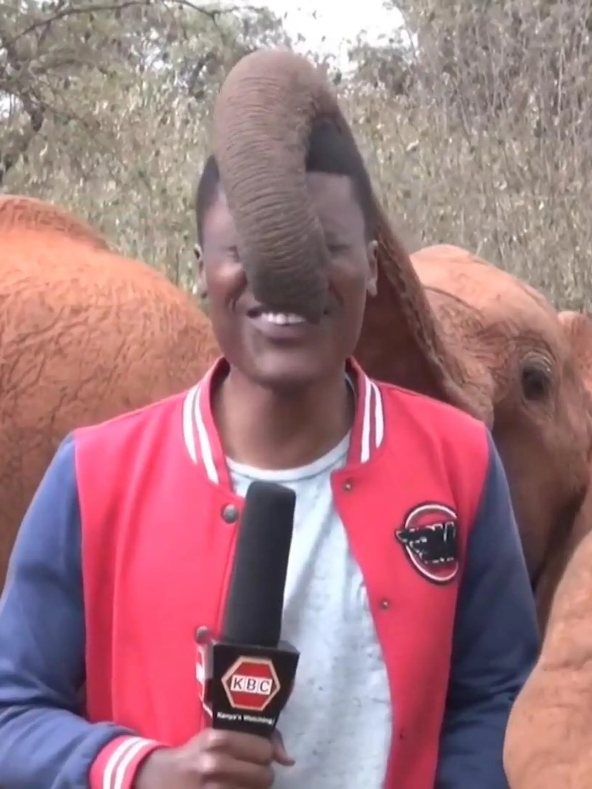 Alvin Kuanda will nur über eine Dürre-Periode in Kenia berichten. Denn die macht besonders der Tierwelt zu schaffen. Doch einer der Statisten mit Rüssel hat ebenfalls etwas zu sagen.