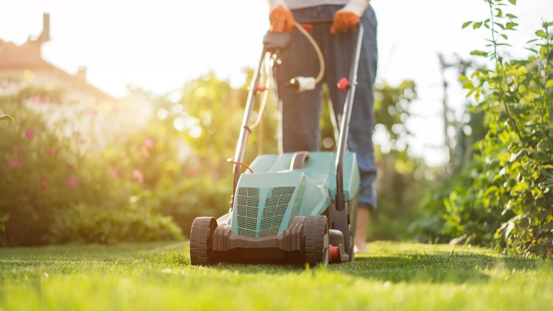 Mowing the lawn