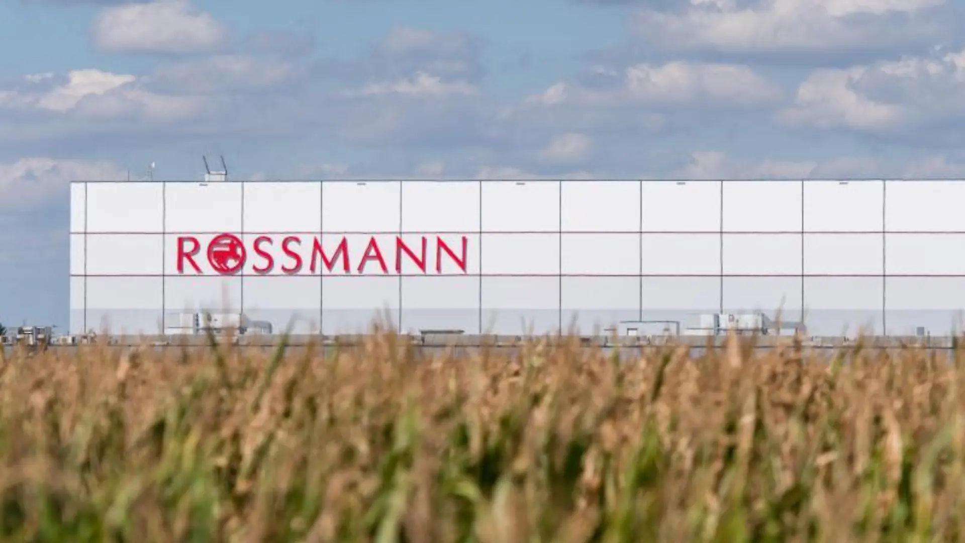Gebäude mit Rossmann-Logo