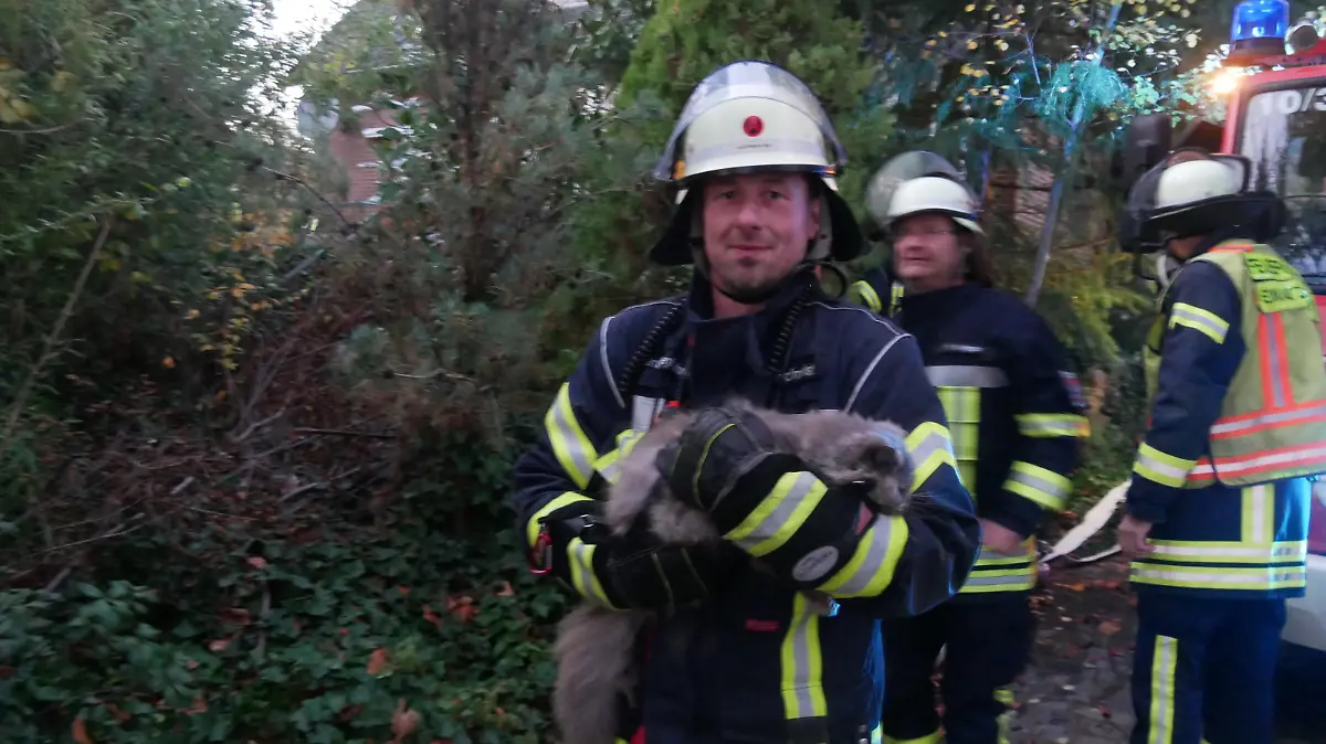Eine Katze wurde gerettet (Foto: Feuerwehr Celle)