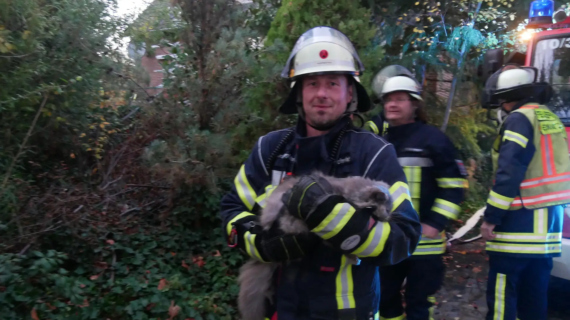 Eine Katze wurde gerettet (Foto: Feuerwehr Celle)