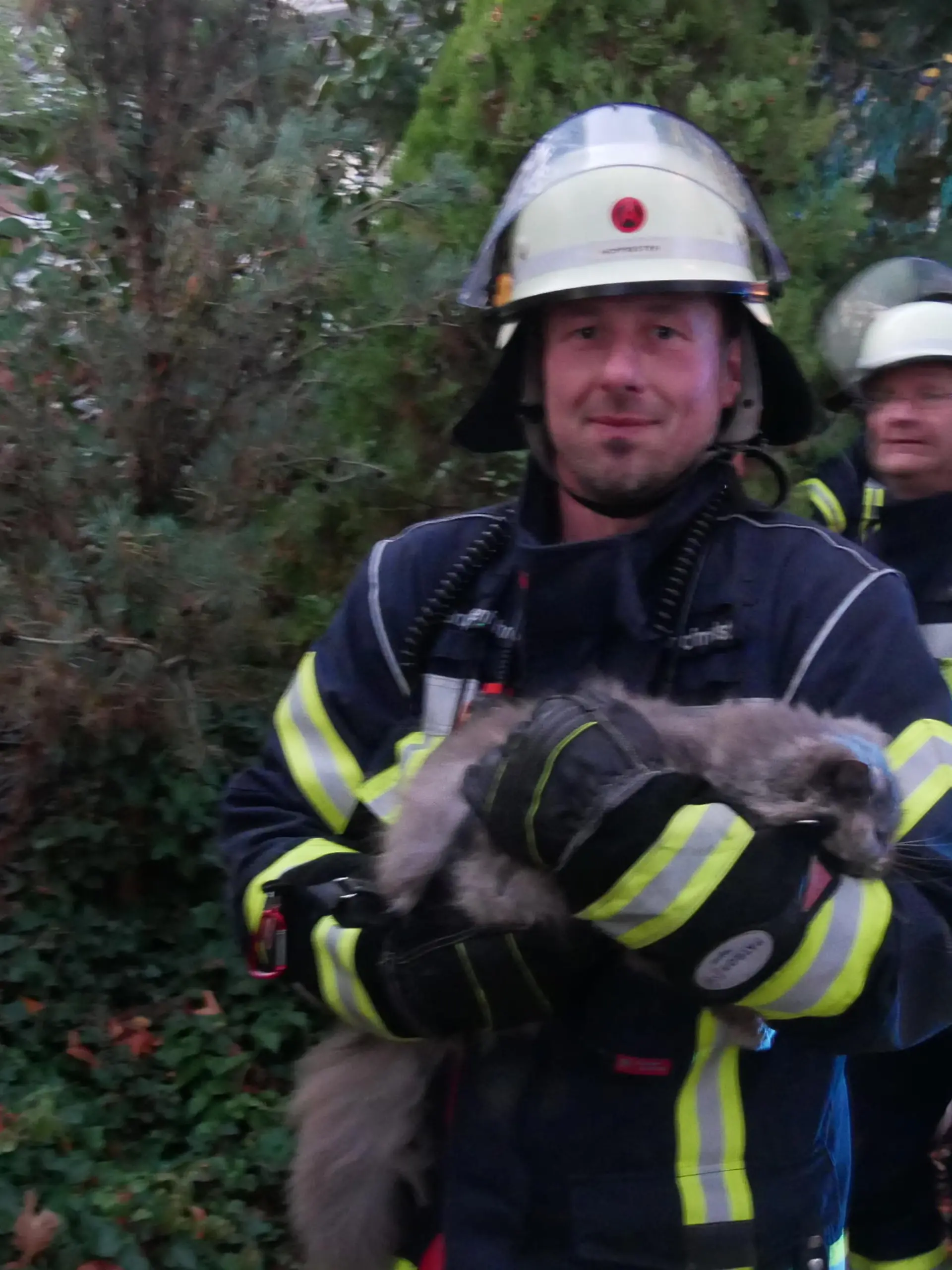 Eine Katze wurde gerettet (Foto: Feuerwehr Celle)