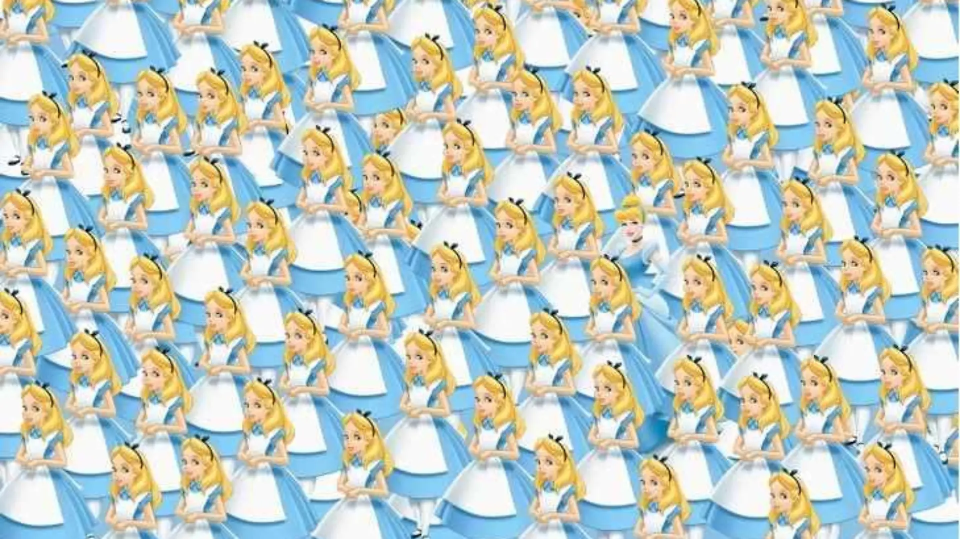 Cinderella-Suchbild