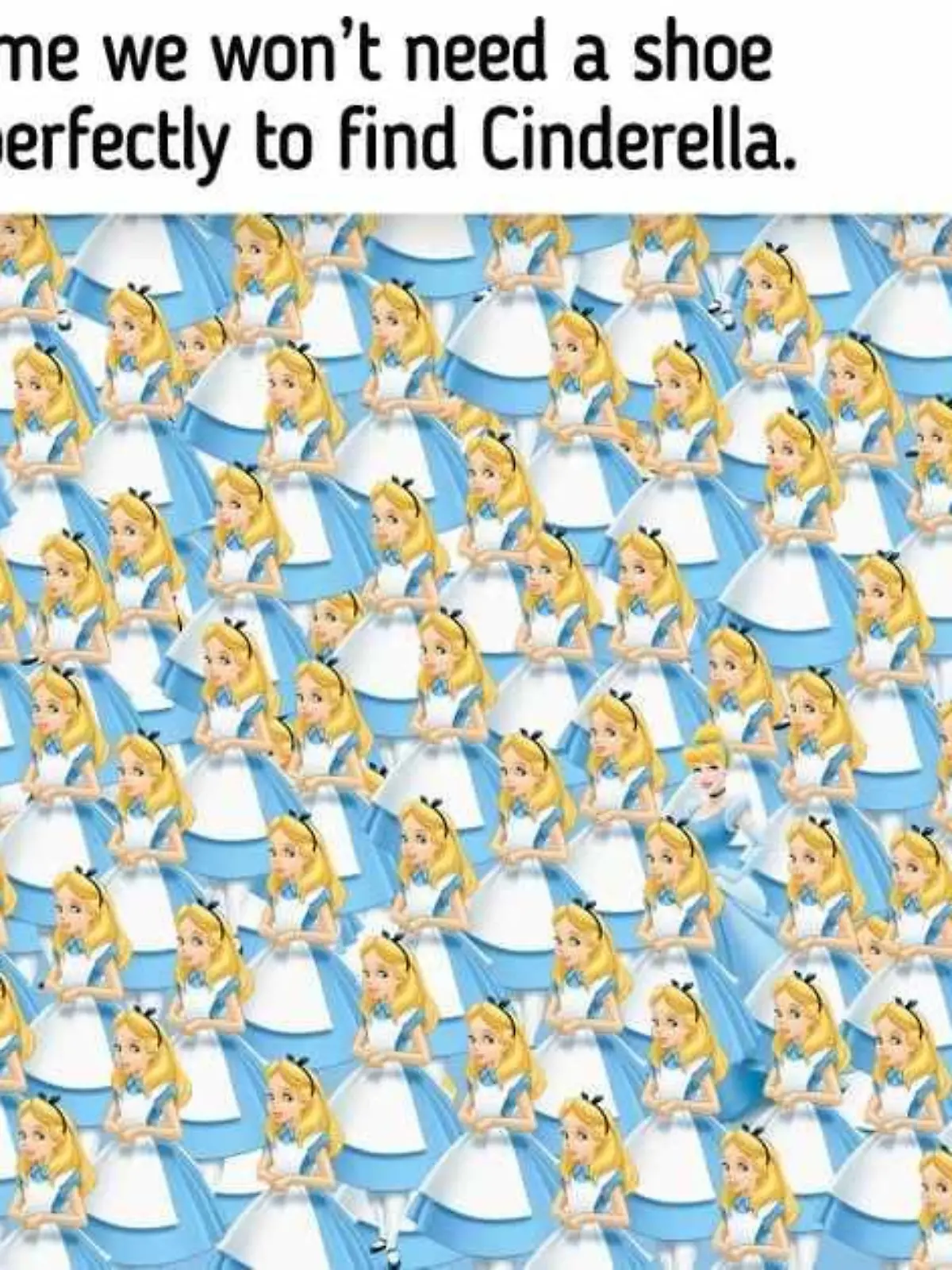 Cinderella-Suchbild
