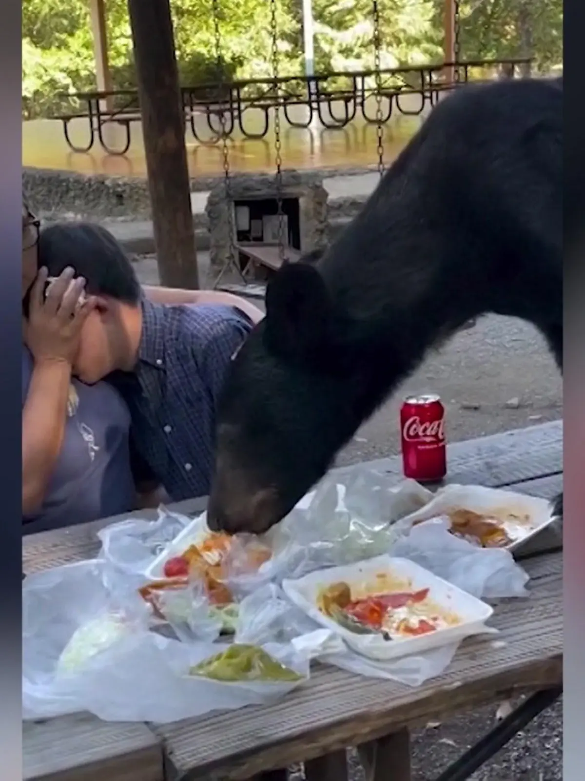 Auf diesen Gast hätte Familie Macías lieber verzichtet! In einem öffentlichen Park feiert die Familie den Geburtstag des 15-jährigen Santiago, als plötzlich ein Schwarzbär auftaucht! Der Bär springt auf den Tisch und macht sich über das mitgebrachte Essen her - eine hochgefährliche Situation! Zum Glück reagiert Santiagos Mutter Silvia genau richtig.