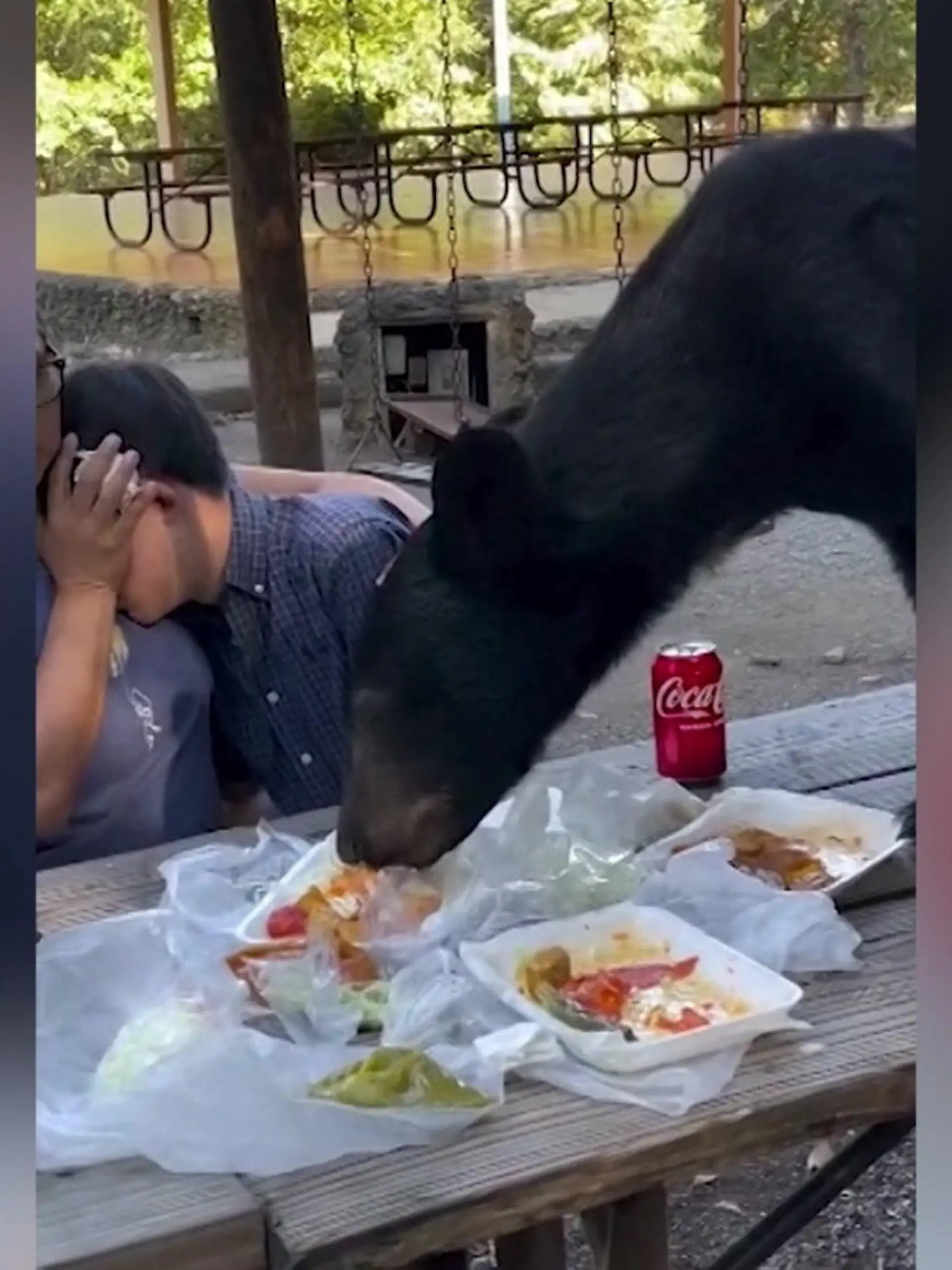 Auf diesen Gast hätte Familie Macías lieber verzichtet! In einem öffentlichen Park feiert die Familie den Geburtstag des 15-jährigen Santiago, als plötzlich ein Schwarzbär auftaucht! Der Bär springt auf den Tisch und macht sich über das mitgebrachte Essen her - eine hochgefährliche Situation! Zum Glück reagiert Santiagos Mutter Silvia genau richtig.