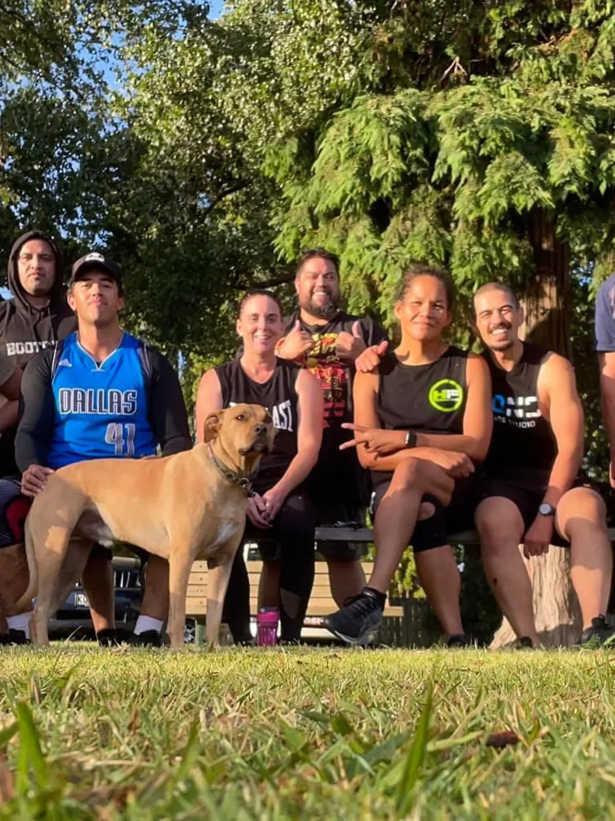Falscher Hund eingeschläfert Neuseeland