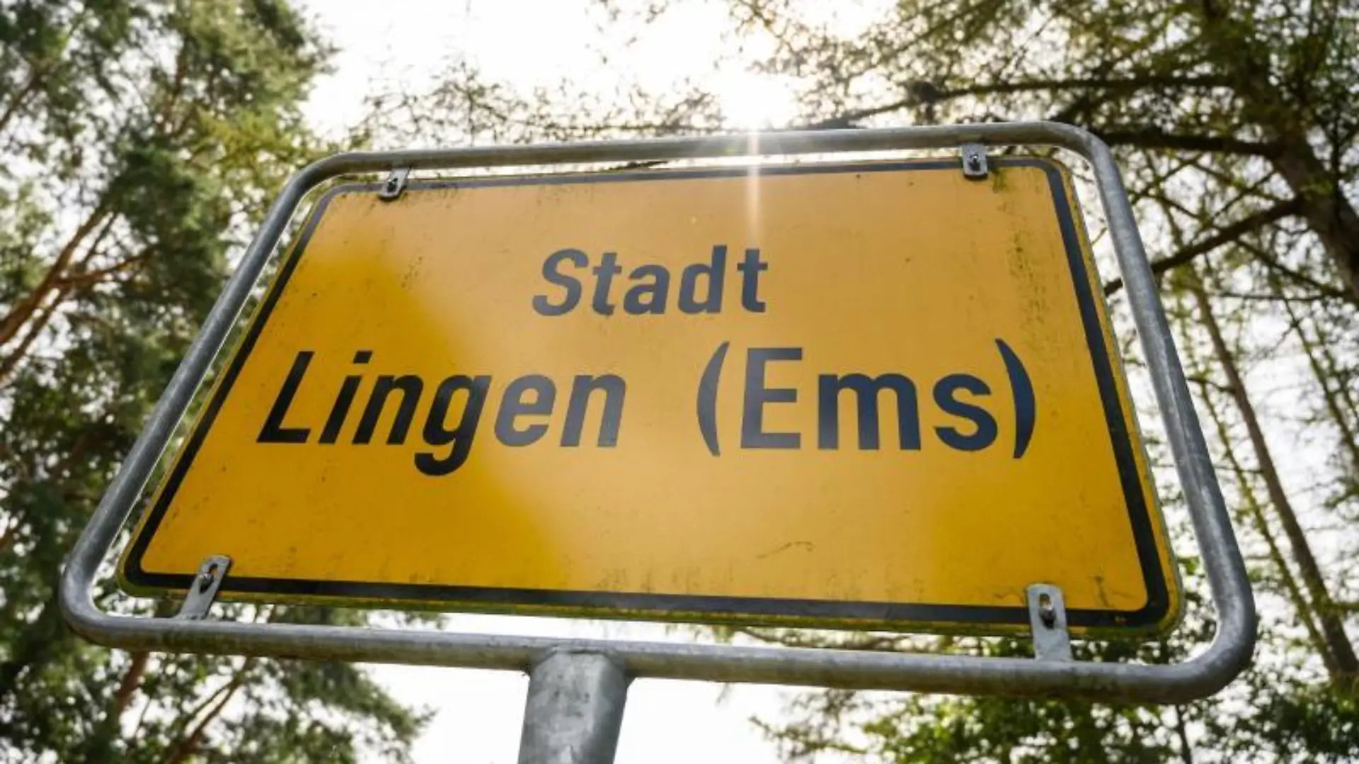 Lingen