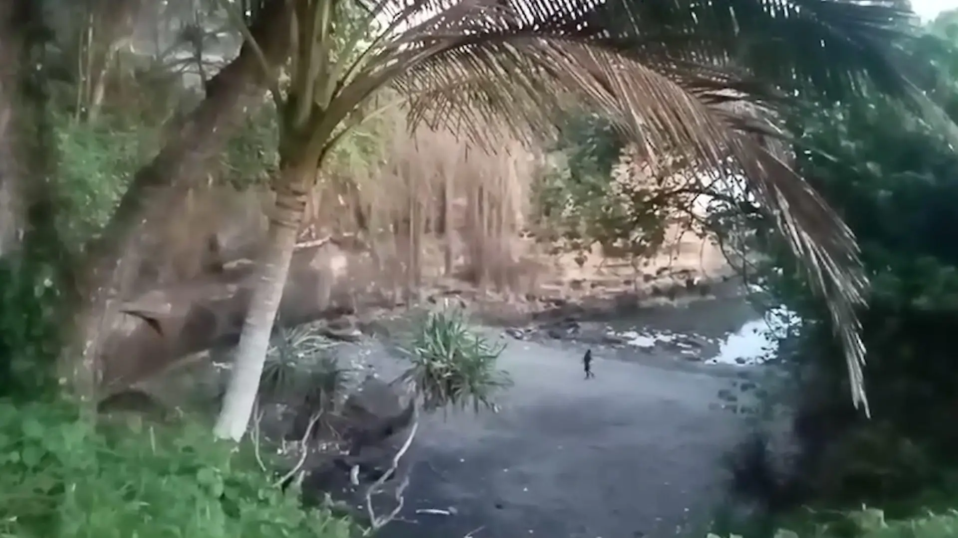 A German tourist fell to his death while filming the sunset from a beach cliff in Bali, Indonesia.
Maximilian Alexandei Tenzer, 22, climbed the coastal cliff with his girlfriend Selina Herbst, 21, at the idyllic Pura Luhur Srijong Beach in Tabanan on September 26.
PACKAGE: Video, pictures, text