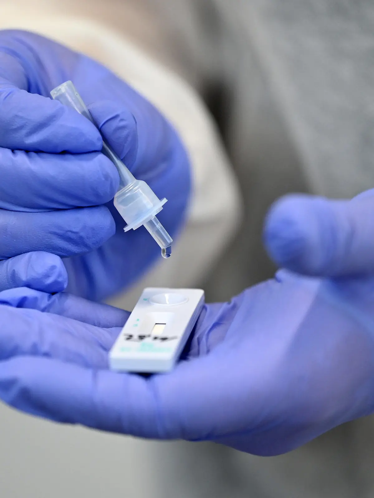 ARCHIV - 02.12.2020, Thüringen, Hildburghausen: Ein Helfer verarbeitet eine Probe für einen Corona-Schnelltest. (zu dpa: «Lockerungen bei Regeln für Corona-Quarantäne und Klinikbesucher») Foto: Martin Schutt/dpa-Zentralbild/dpa +++ dpa-Bildfunk +++