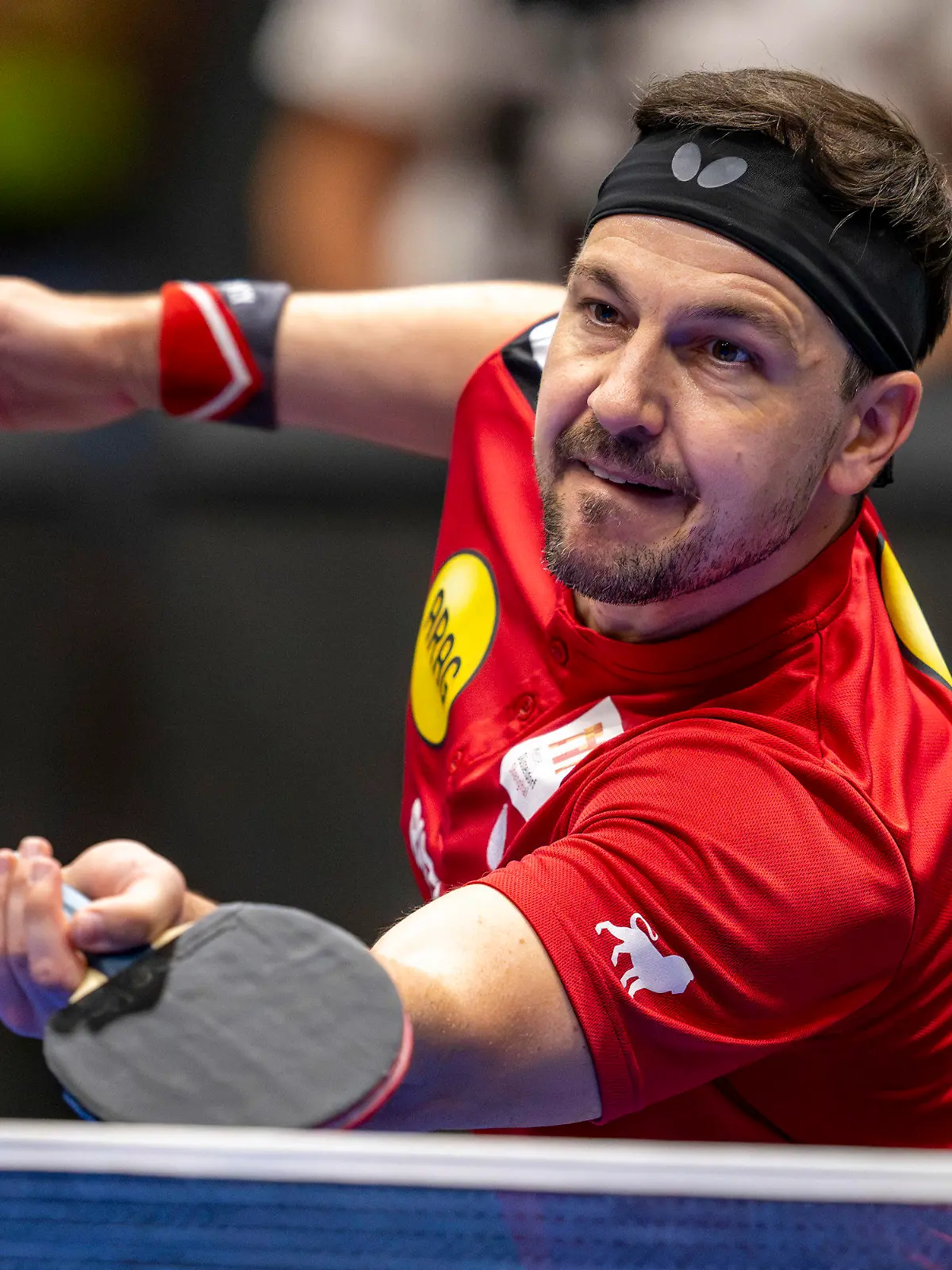 ARCHIV - 09.07.2023, Nordrhein-Westfalen, Düsseldorf: Tischtennis/Mannschaft, Männer: Bundesliga, Borussia Düsseldorf - 1. FC Saarbrücken, Meisterschaftsrunde, Finale: Timo Boll in Aktion. Boll wird im November beim WTT-Turnier in Frankfurt mit einer Wildcard spielen. (zu dpa: «Wildcard für Tischtennis-Star: Boll darf in Frankfurt spielen») Foto: David Inderlied/dpa +++ dpa-Bildfunk +++