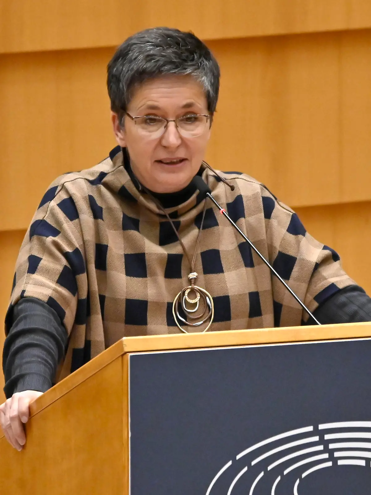 Sylvia Limmer bei einer Plenarsitzung zu den Ergebnissen des EU-Gipfels im Plenarsaal des Europäischen Parlaments. Brüssel, 09.11.2022