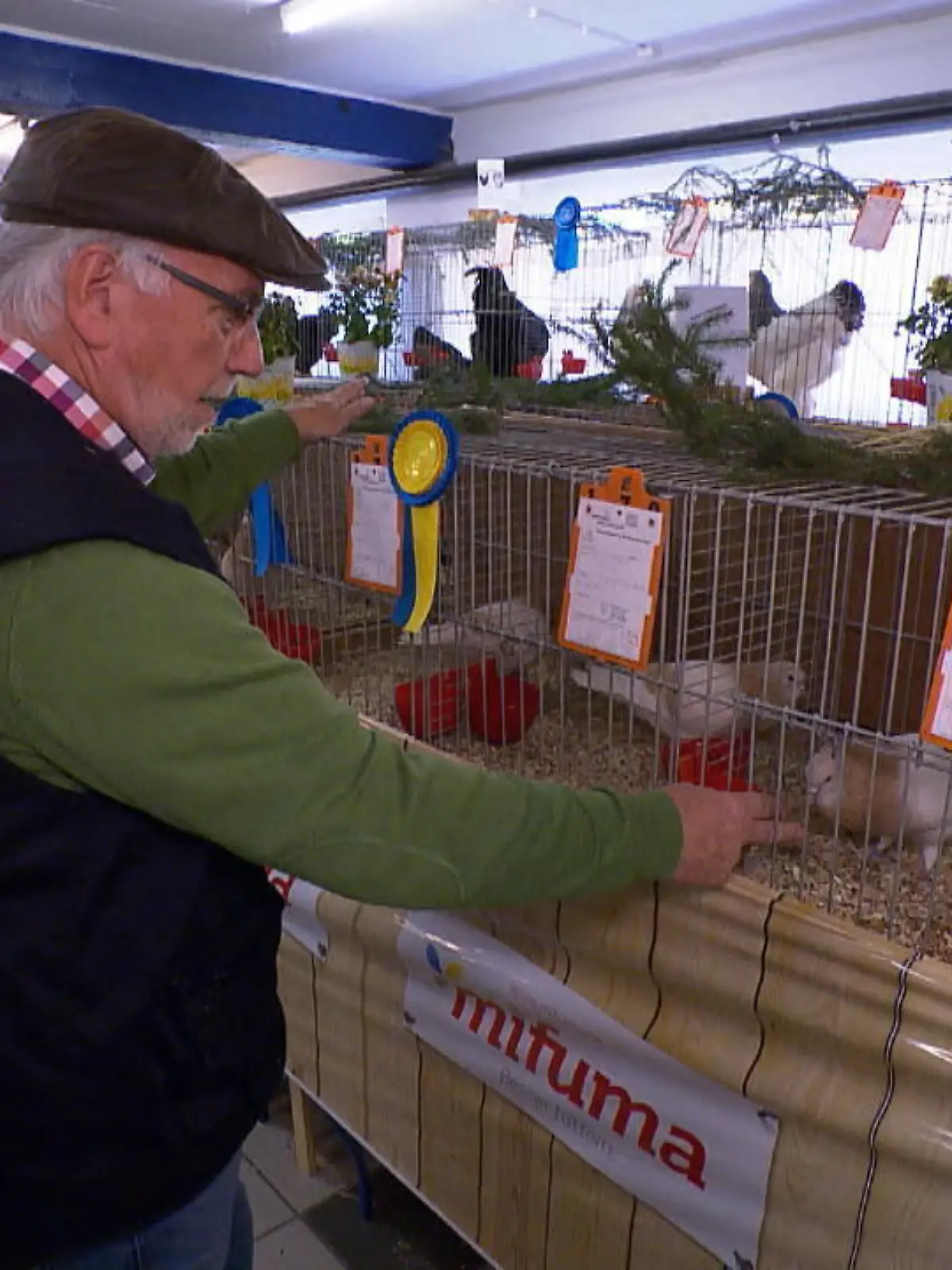 Bild zu: "300 Tiere in Essen"