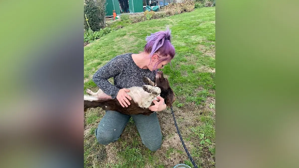 Hund Maisie