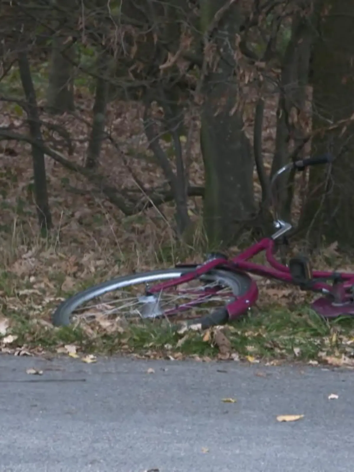 Im Kreis Warendorf haben Bauarbeiter heute Morgen eine 13-Jährige an einem Waldweg gefunden. Das Mädchen war offenbar bewusstlos und mit Kabelbindern gefesselt. Der Gürtel seiner Hose soll offen gewesen sein. Vermutlich wurde die Achtklässlerin auf dem Schulweg angegriffen. Die Hintergründe sind noch unklar. Die Polizei ermittelt.