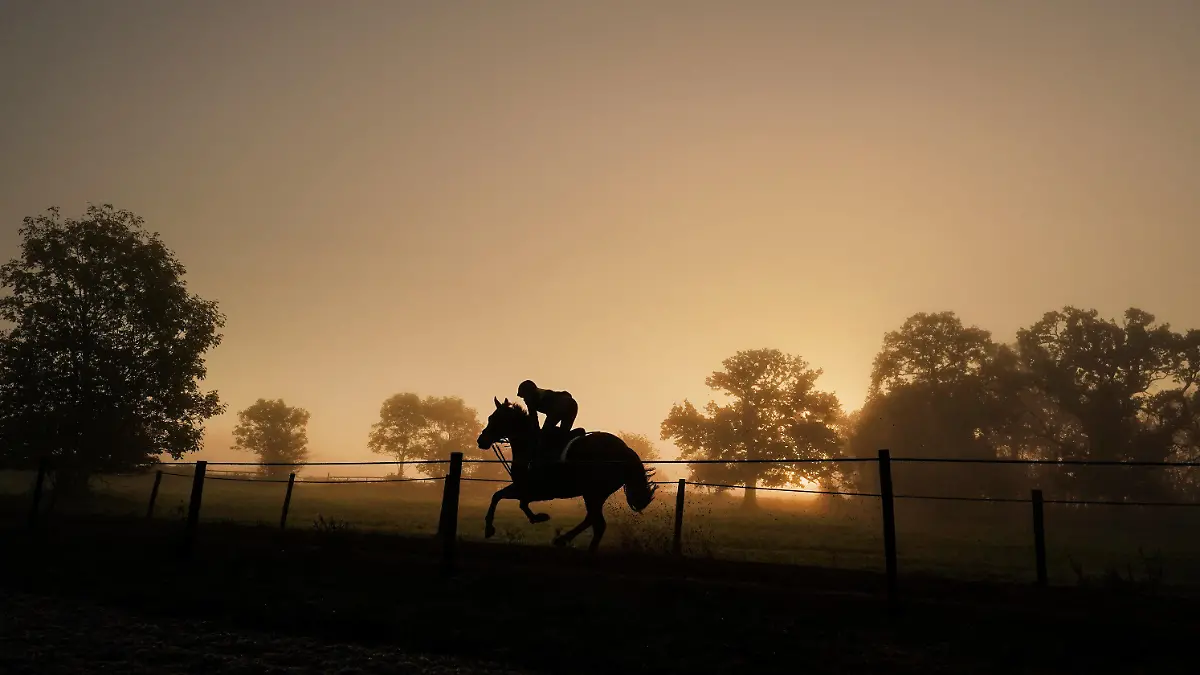 18.10.2022, Großbritannien, Hereford: Ein Pferd wird auf der Galoppbahn Sam Drinkwater Granary Stables von einer Person geritten. Foto: David Davies/PA Wire/dpa +++ dpa-Bildfunk +++