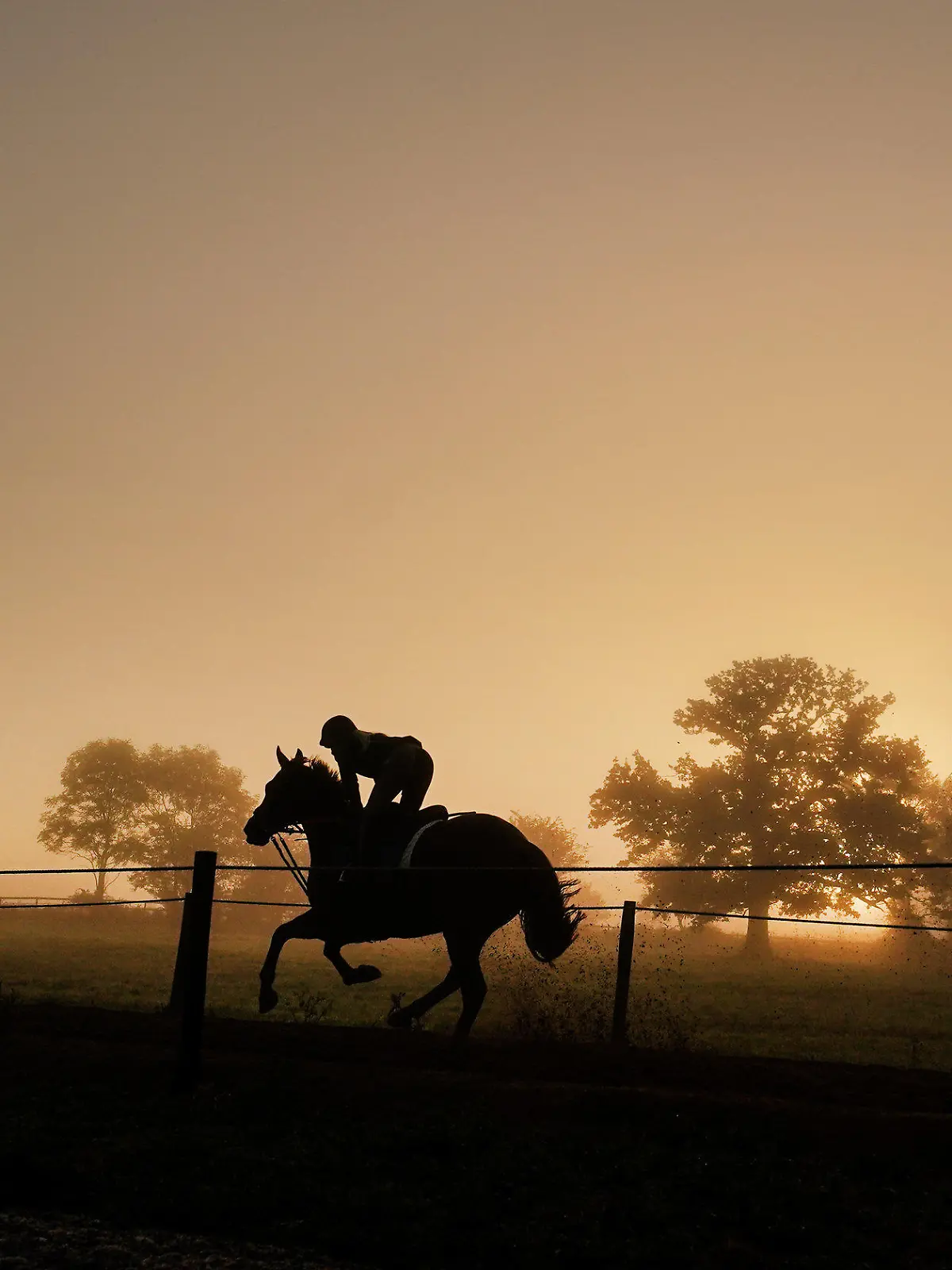 18.10.2022, Großbritannien, Hereford: Ein Pferd wird auf der Galoppbahn Sam Drinkwater Granary Stables von einer Person geritten. Foto: David Davies/PA Wire/dpa +++ dpa-Bildfunk +++