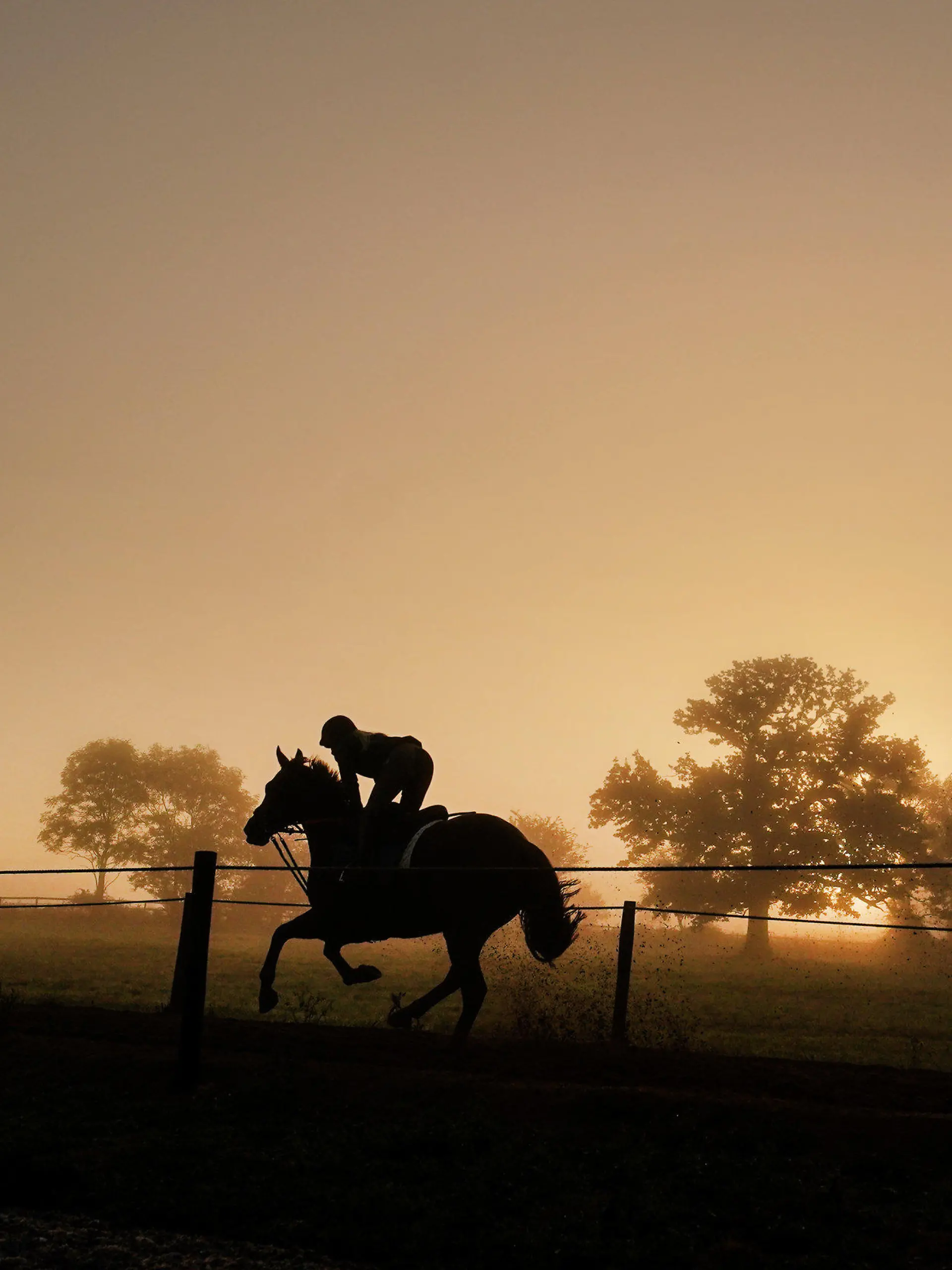 18.10.2022, Großbritannien, Hereford: Ein Pferd wird auf der Galoppbahn Sam Drinkwater Granary Stables von einer Person geritten. Foto: David Davies/PA Wire/dpa +++ dpa-Bildfunk +++