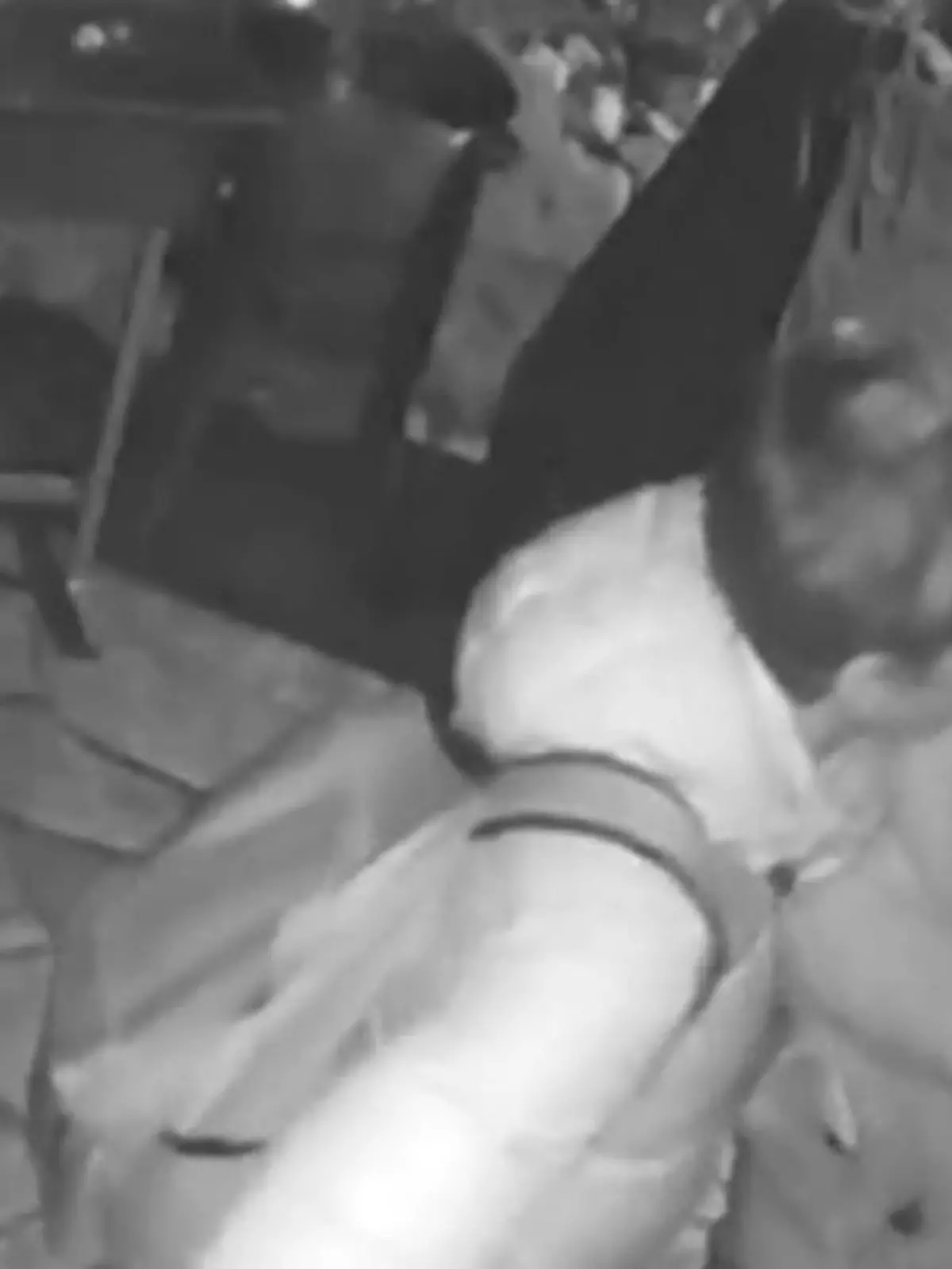 Ist das der wohl dümmste Einbruch? In Dresden sind zwei junge Männer in eine Gartenlaube eingebrochen. Die Überwachungskamera entdeckten sie zu spät - nachdem sie bereits ihre Namen verraten haben. Jetzt sucht die Polizei nach den zwei Einbrechern.