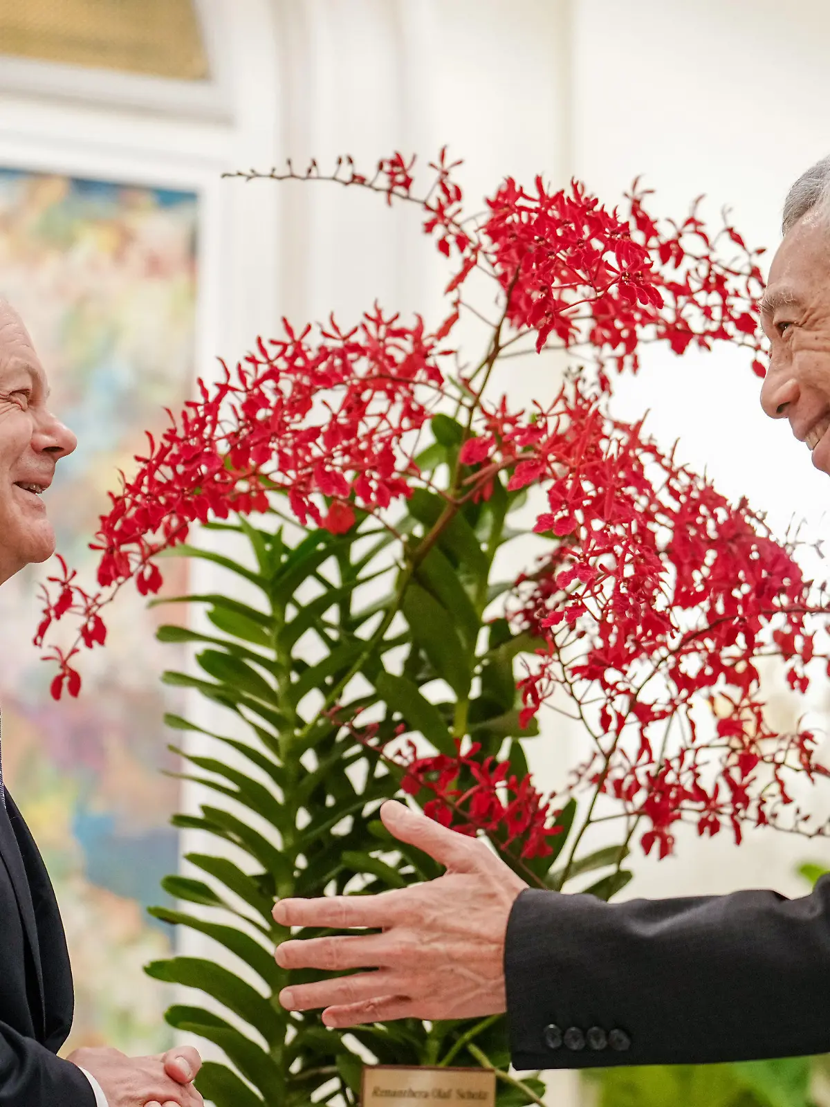 14.11.2022, Singapur: Bundeskanzler Olaf Scholz (l, SPD) nimmt neben Lee Hsien Loong, Premierminister der Republik Singapur, an einer Orchideenzeremonie teil. Die Orchidee trägt den Namen Renanthera Olaf Scholz. Am Abend reist der Kanzler weiter ins indonesische Bali zum G20-Gipfel. Foto: Kay Nietfeld/dpa +++ dpa-Bildfunk +++