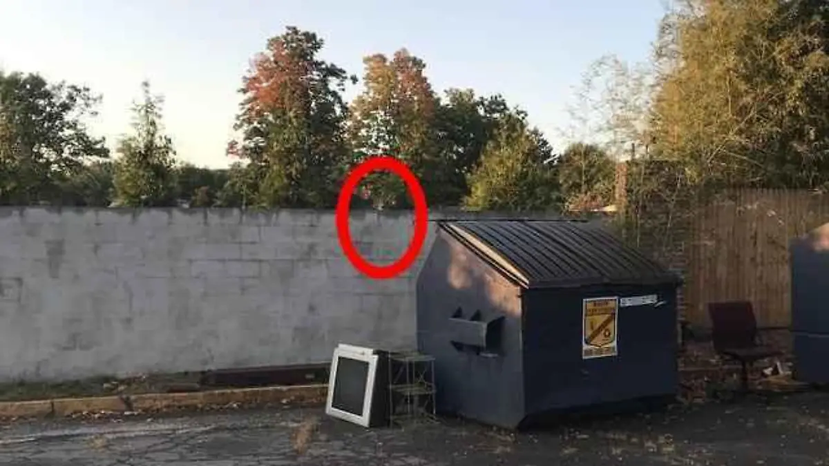 Suchbild-Auflösung