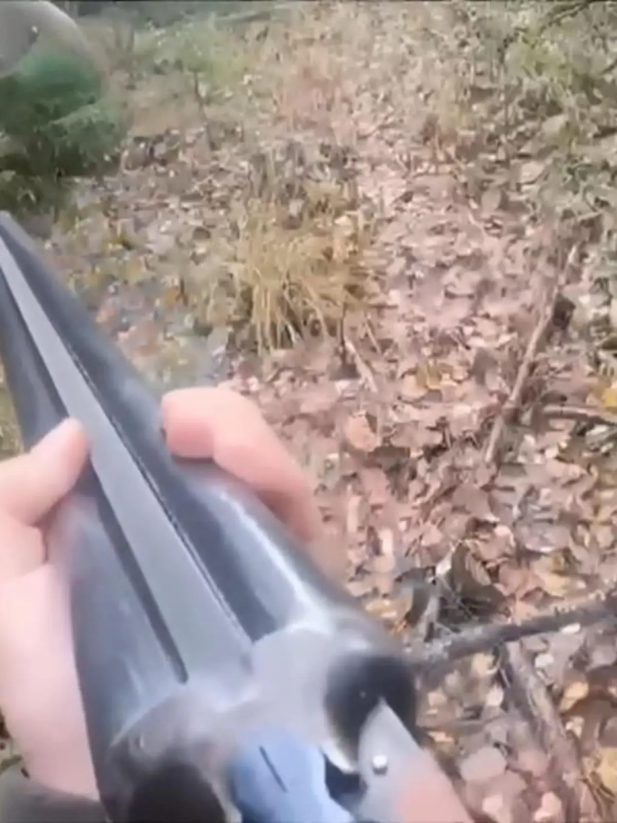 Dieser Mann jagt in einem russischen Wald nach Elchen - doch was ihm da entgegenkommt, ist eine Nummer gefährlicher. Eine aufgebrachte Bärenmutter stürmt in Richtung des Jägers und droht, ihn zu attackieren. Der mit einem Gewehr bewaffnete Jäger bleibt trotzdem ruhig und seine Waffe still.