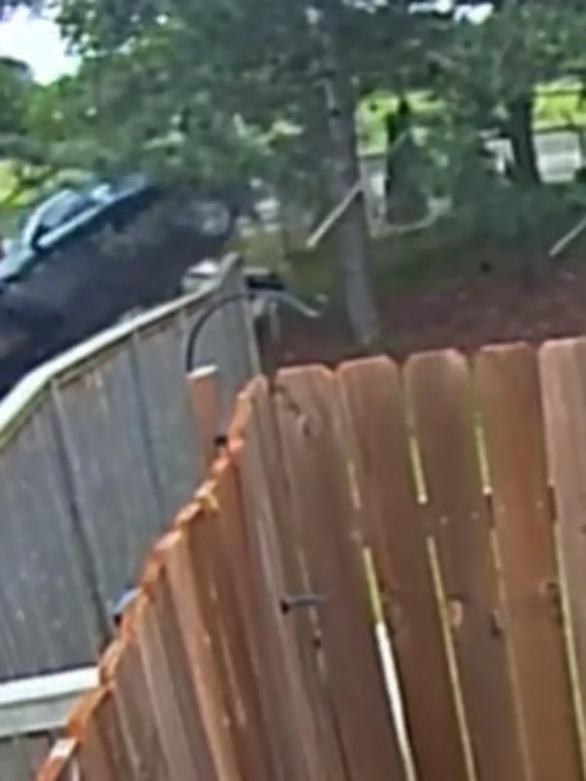 In Michigan spielen sich actionreiche Szenen ab. Ein Fahrer kommt von der Spur ab und landet direkt in einer Wohnsiedlung.
Die skurrile Bilder sehen Sie im Video.