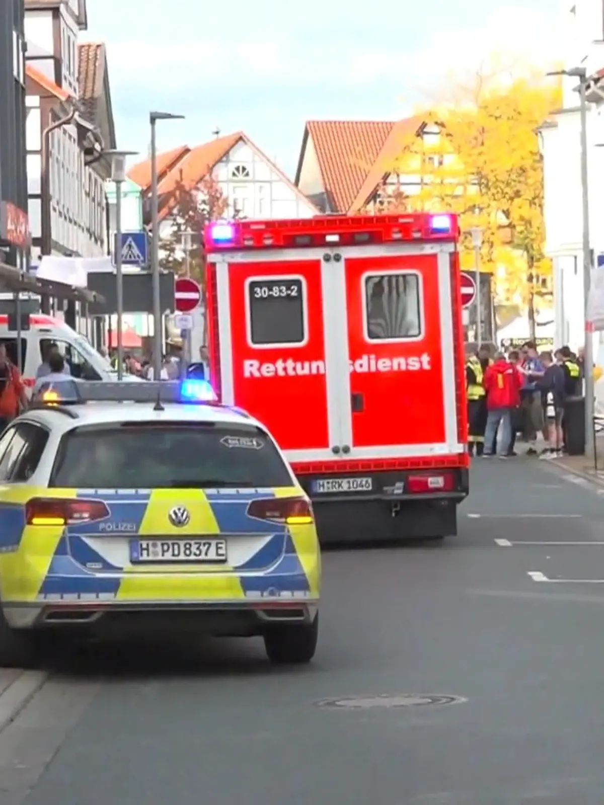 Während eines Volkslaufes im niedersächsischen Burgdorf kam es zu einer Hornissen-Attacke gegen die Teilnehmer. Der Lauf musste abgebrochen werden! Denn ein Hornissen-Stich kann ernsthafte Folgen haben