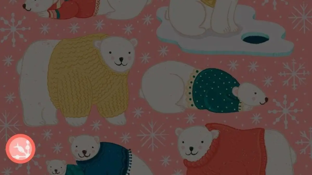 Polarbär-Suchbild