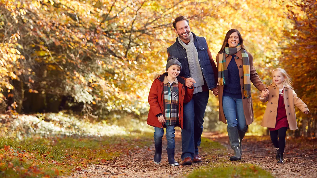 wald,spaziergang,herbstspaziergang,familienausflug,wälder,spazieren,spazierengehen,spaziergänger,spaziergängerin,spaziergängerinnen,herbstspaziergäge,spaziergänge,ausflug,ausflüge,familienausflüge *** forest,walk,family outing,forests,wood,woodland,woods,walks mmq-12ai ,model released, Symbolfoto