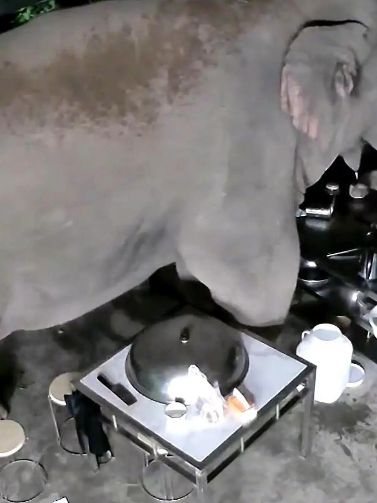 Wilde asiatische Elefanten brechen auf der Suche nach Futter in ein Haus ein. Dabei hinterlassen sie eine völlige Verwüstung. Die skurrilen Szenen sehen Sie im Video.