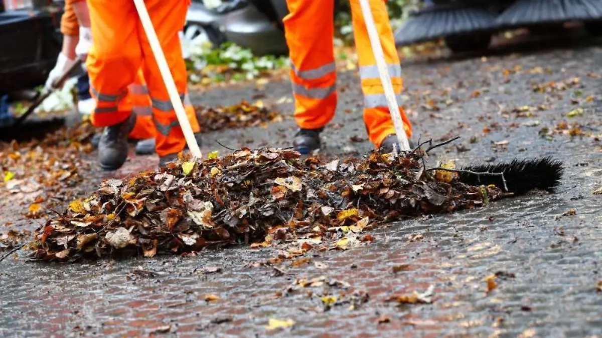 Stadtreinigung beseitigt Laub