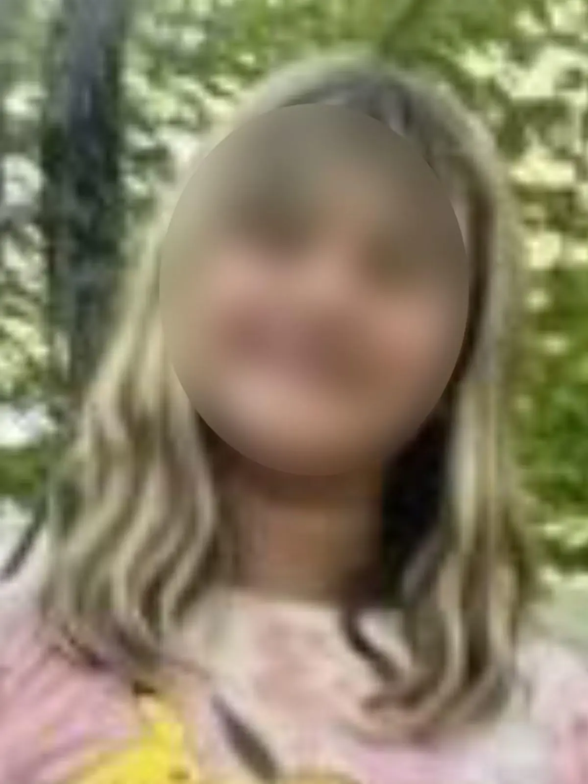 Die neunjährige Charlotte wurde in einem New Yorker Park entführt.