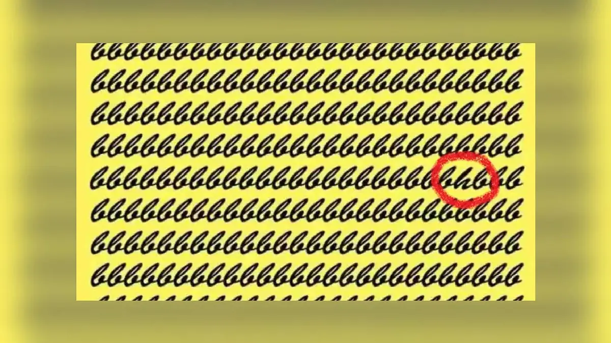 Suchbild-Lösung