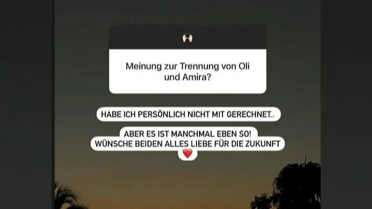 Screenshot aus Danni Büchners Instagram-Story.