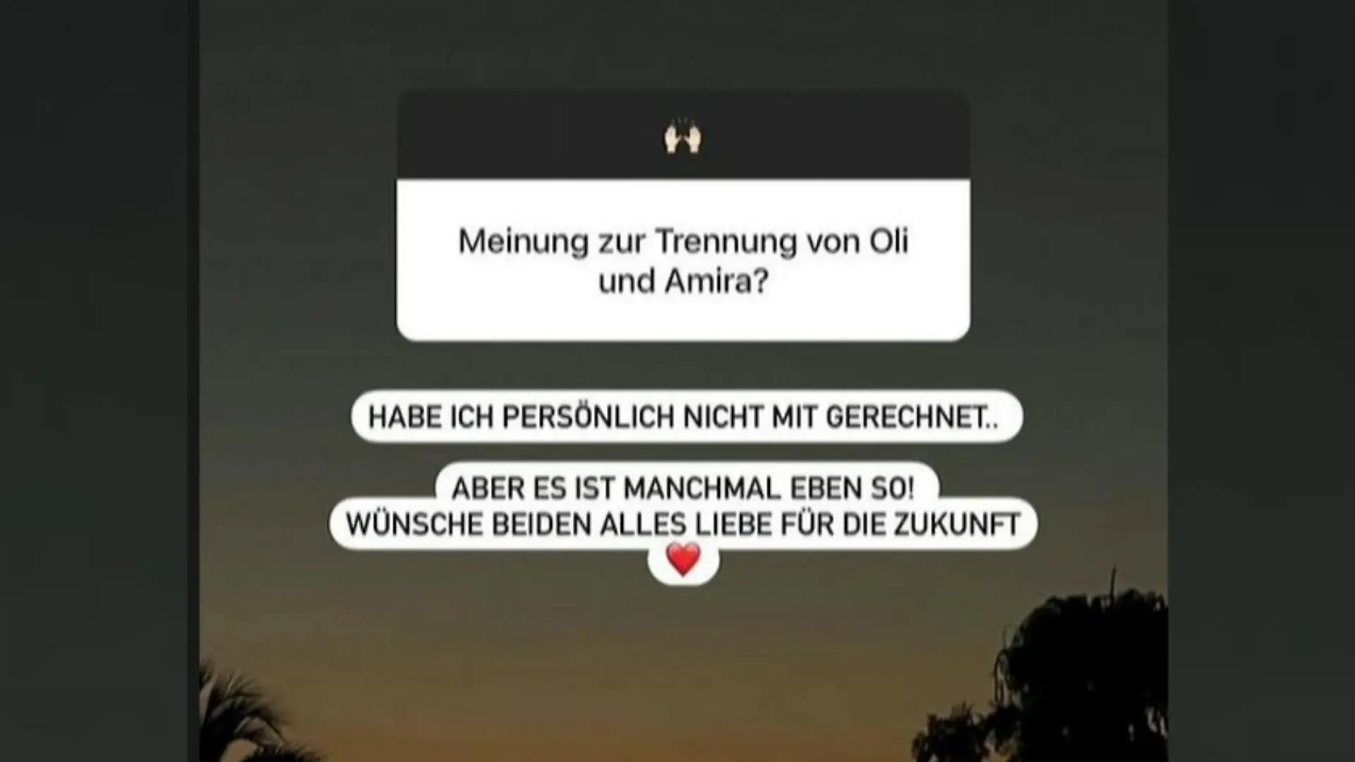 Screenshot aus Danni Büchners Instagram-Story.