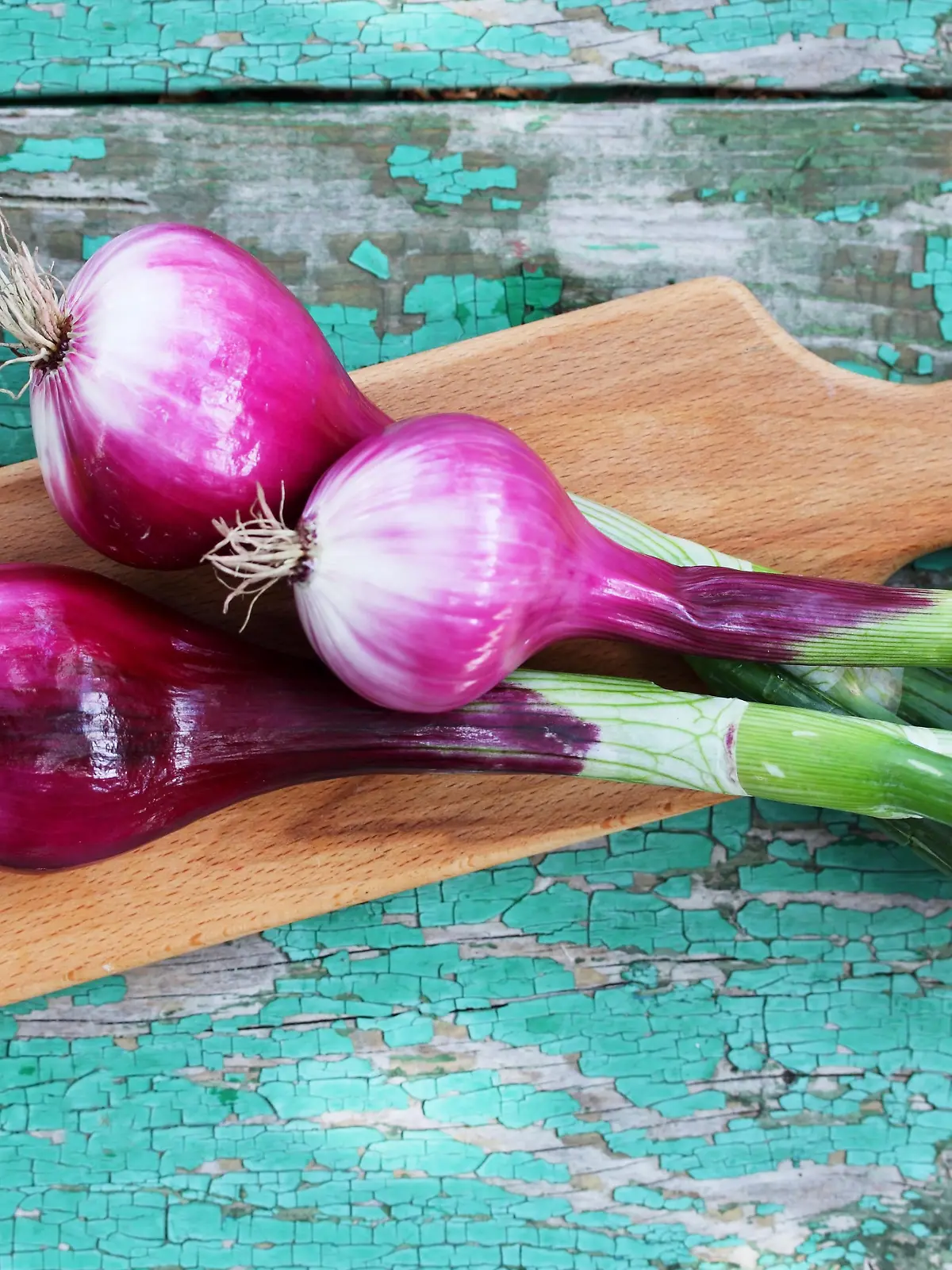 Fresh purple onion on a wooden board