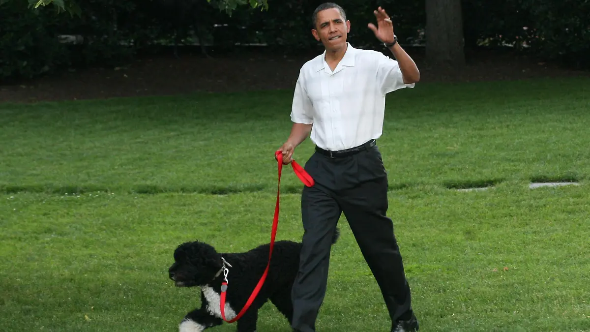 US President Barack Obama (R) and First Lady Michelle Obama (not pictured) host a picnic for members of Congress on the South Lawn of the White House in Washington DC, USA, on 08 June 2010. First dog Bo (L) was in tow. Alaskan Salmon smoked on an open pit was for dinner. EPA/GARY FABIANO / POOL
