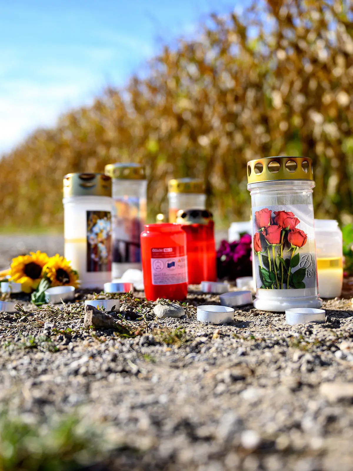 03.10.2023, Österreich, Naarn: Kerzen und Blumen liegen an dem Unfallort, an dem es zu einer tödlichen Hundeattacke kam. In Österreich ist eine Frau beim morgendlichen Joggen von einem Hund zu Tode gebissen worden. Wie die Polizei am Dienstag mitteilte, erlitt die 60-Jährige bei dem Vorfall mehrere Verletzungen. Als der Notarzt eintraf, war sie bereits tot. Das Tier, ein American Staffordshire Terrier, wurde auf Anordnung der Bezirksbehörde eingeschläfert. Foto: Team Fotokerschi/Kerschbaummay/APA/dpa +++ dpa-Bildfunk +++