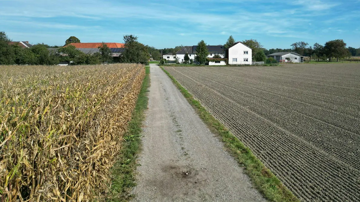 02.10.2023, Österreich, Naarn: Ein Feldweg in Naarn. In Österreich ist eine Frau beim Joggen von einem Hund zu Tode gebissen worden. Foto: Fotokerschi.At/Taras Panchuk/APA/dpa +++ dpa-Bildfunk +++