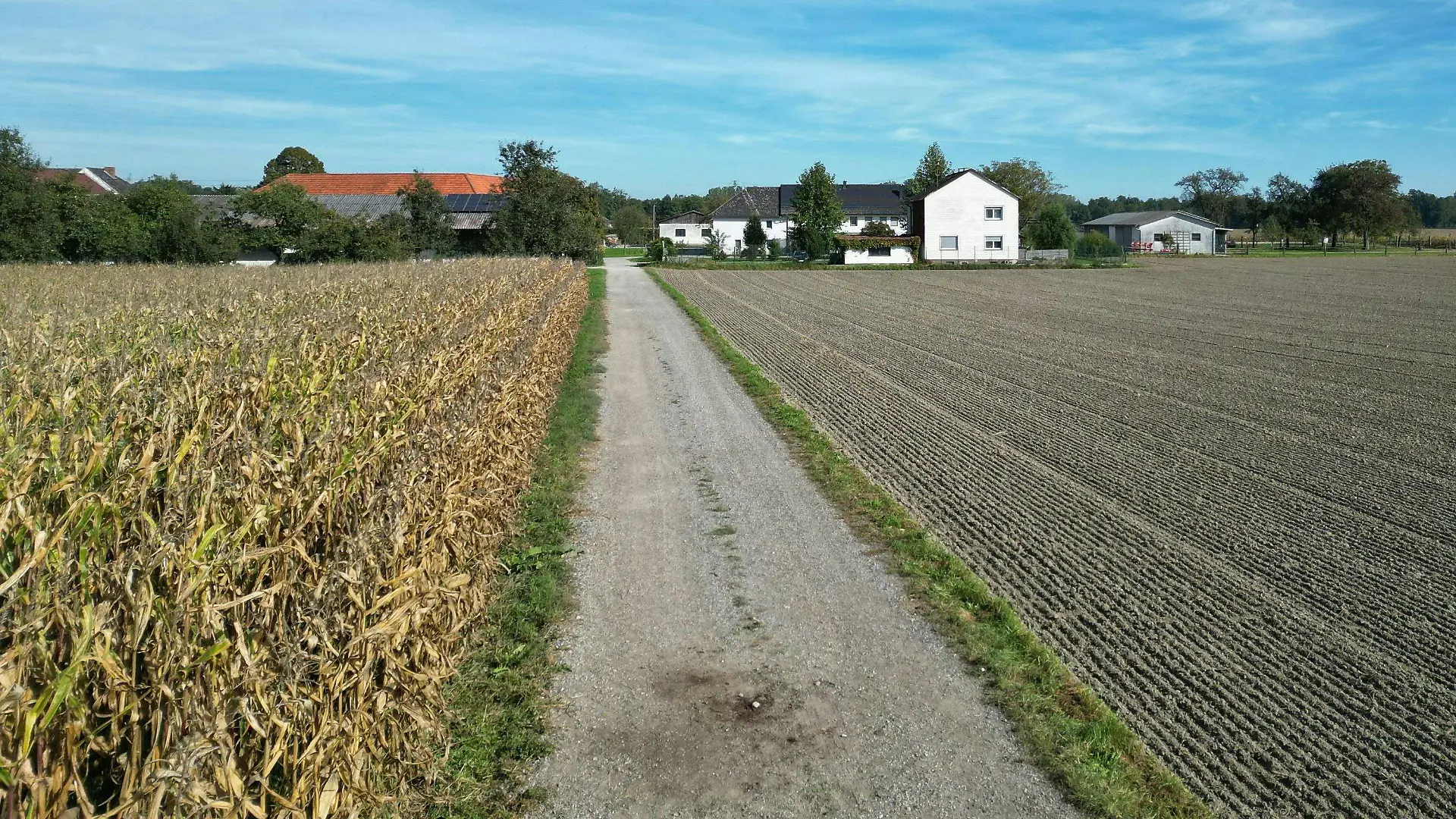 02.10.2023, Österreich, Naarn: Ein Feldweg in Naarn. In Österreich ist eine Frau beim Joggen von einem Hund zu Tode gebissen worden. Foto: Fotokerschi.At/Taras Panchuk/APA/dpa +++ dpa-Bildfunk +++