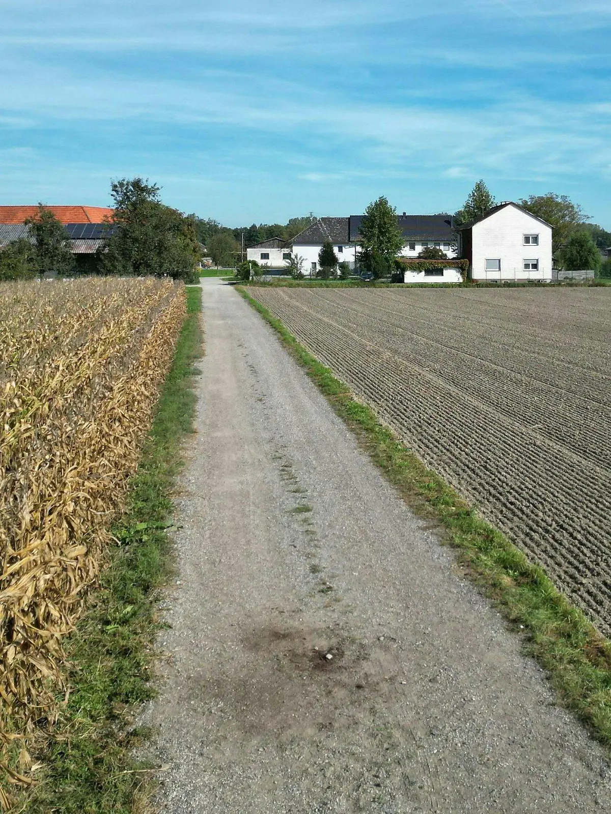 02.10.2023, Österreich, Naarn: Ein Feldweg in Naarn. In Österreich ist eine Frau beim Joggen von einem Hund zu Tode gebissen worden. Foto: Fotokerschi.At/Taras Panchuk/APA/dpa +++ dpa-Bildfunk +++
