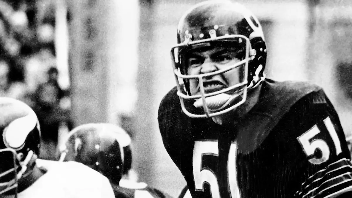 DICK BUTKUS, 80, December 9, 1942 - October 5, 2023 arguably the best linebacker ever to play 51 possess3ed an inner strength, coupled with agility and quickness to cover fastest running backs and large tight ends on the same play. Chicago Bear leader 1965 to 1973, making seven Pro Bowl teams, collecting 22 interceptions and recovering 27 fumbles. Made NFL, American Football Herren, USA Hall of Fame in 1979, his first year of eligibility. Butkus name is synonymous with the violent side of football: fear and intimidation. Also greatness at middle linebacker, and in many ways the NFL itself. FILE PHOTO SHOT ON: Chicago Bears linebacker DICK BUTKUS in action against the Minnesota Vikings, circa late 1960 s. Chicago USA - ZUMAm67_ 20231005_mda_m67_031 Copyright: xStevexLaskerx